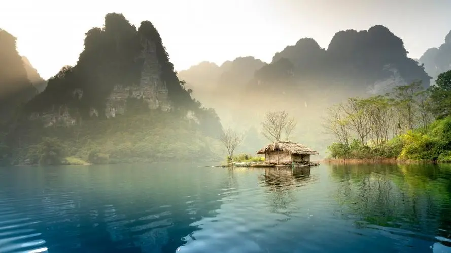 绿色全自动先进